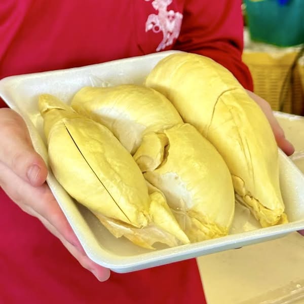 ยังอยาก ทุเรียน มั้ยๆ : เริ่มโลละ 100.-หมอนทองจันทบุรี ยังมีอยู่จ้า รีบมาเล้ยยย