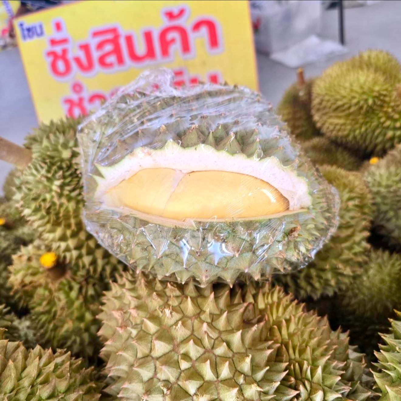 รีบเลยๆ หมอนทอง โลละ 99 ทั้งร้านเหลือแค่ 3 วัน ไทวัสดุ บางใหญ่