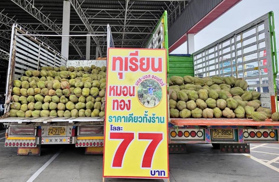 กลับมาอีกตามคำเรียกร้อง หมอนทอง โลละ 77.- ทั้งร้าน