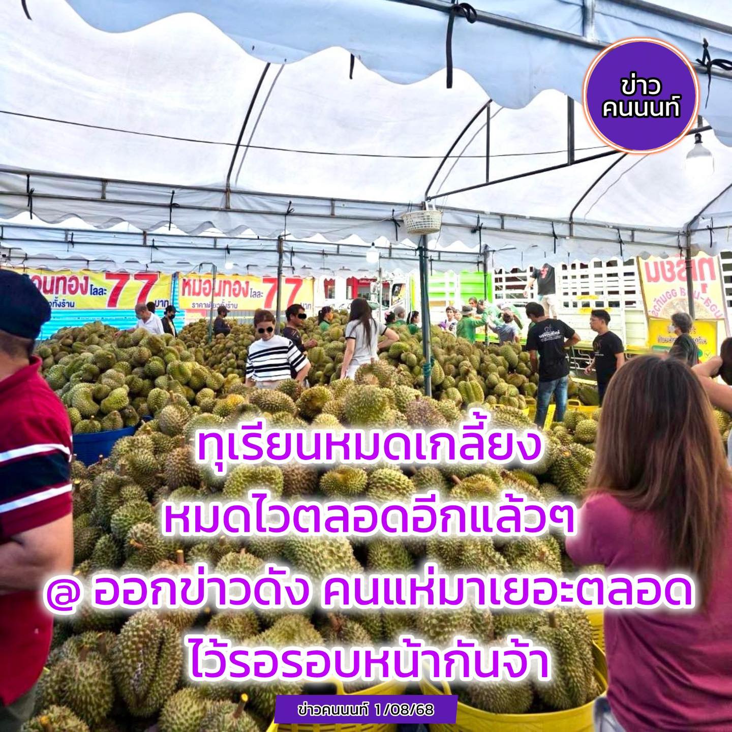 หมดเกลี้ยง หมดไวอีกแล้วๆจ้าหมอนทองโลละ 77 และโปรลดเหลือโลละ 66 เมื่อวานนี้สุดท้าย