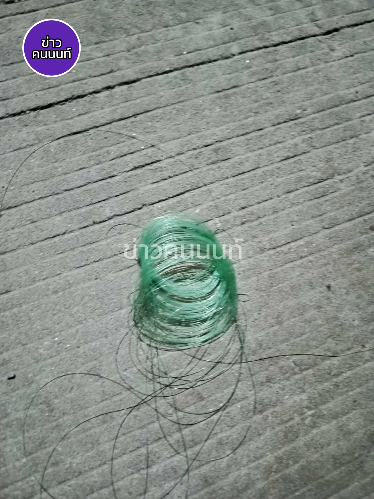 อห.โครตอันตราย เส้นเอ็นโครตยาวเกี่ยวอยู่กับสายไฟฟ้ามืดๆ แถววัดไทรน้อย