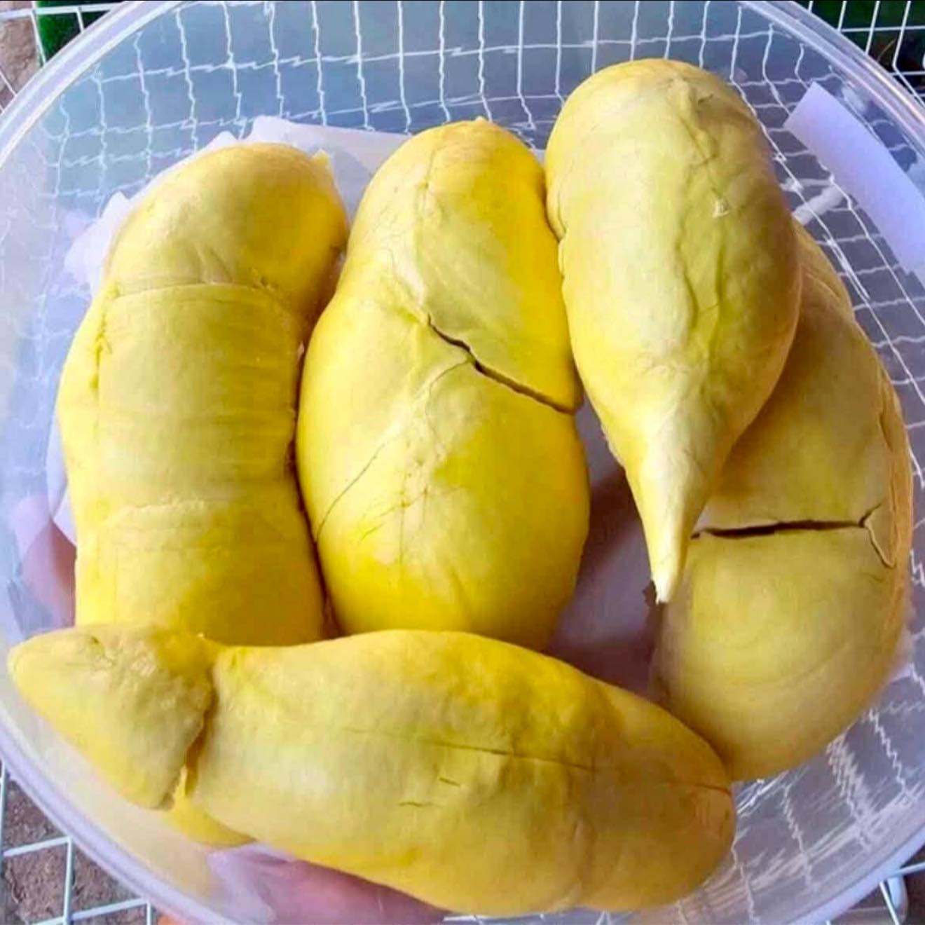 รีบเล้ยยย..โปร ทุเรียน ลดเหลือโลละ 77.-(ของใหม่มาเติม)