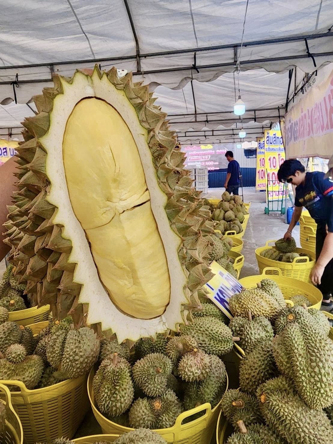 มหกรรม มอสมอสออนทัวร์ ทุเรียน กก.ละ 88ส้มเขียวหวาน กก.ละ 10-20