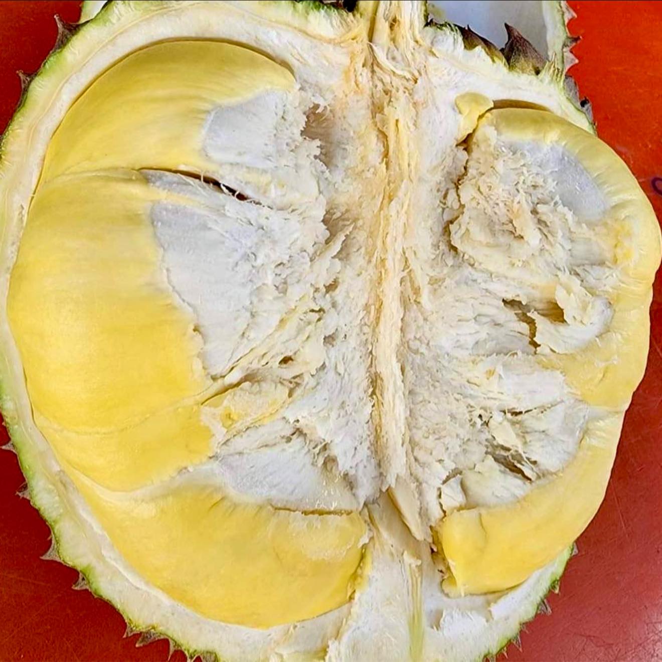 กลับมาแล้วๆ ทุเรียน กก. 88.-