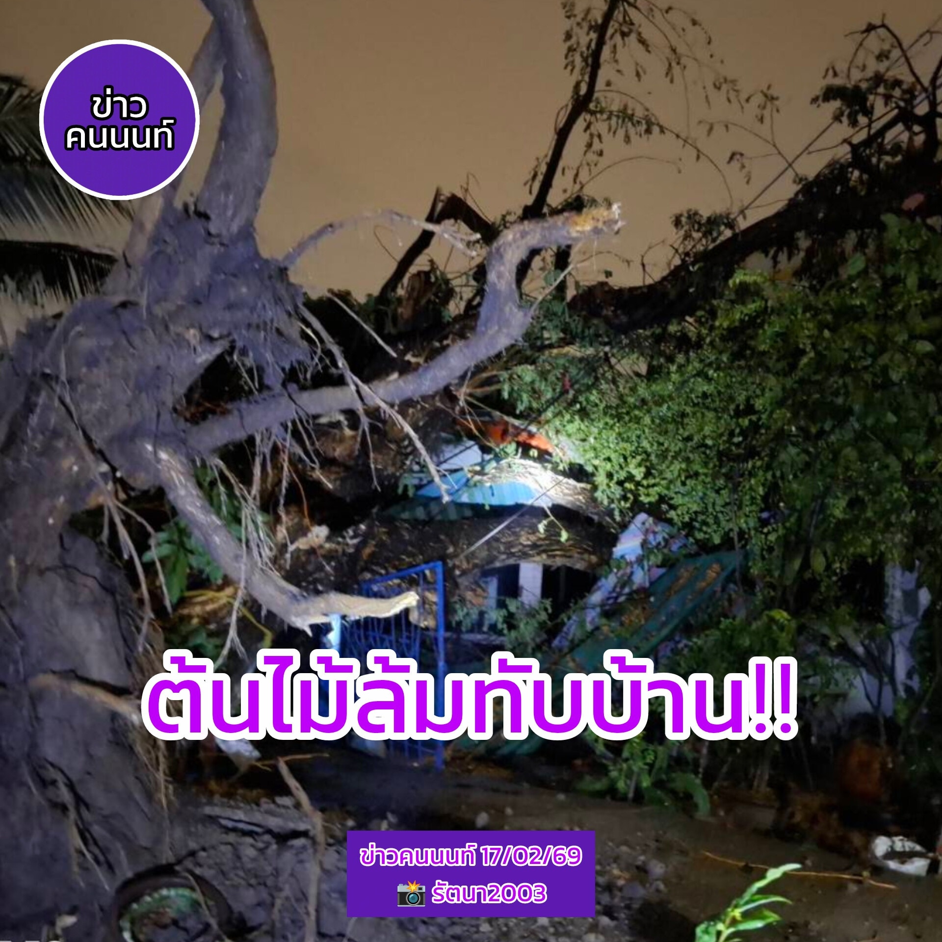 พิษฝนถล่ม…ต้นไม้ล้มทับบ้าน