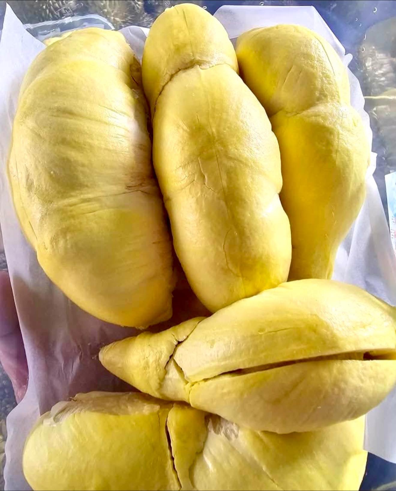 รีบเล้ยย..โปรทุเรียน ลดเหลือ 66.-ของเหลือน้อยแล้ว