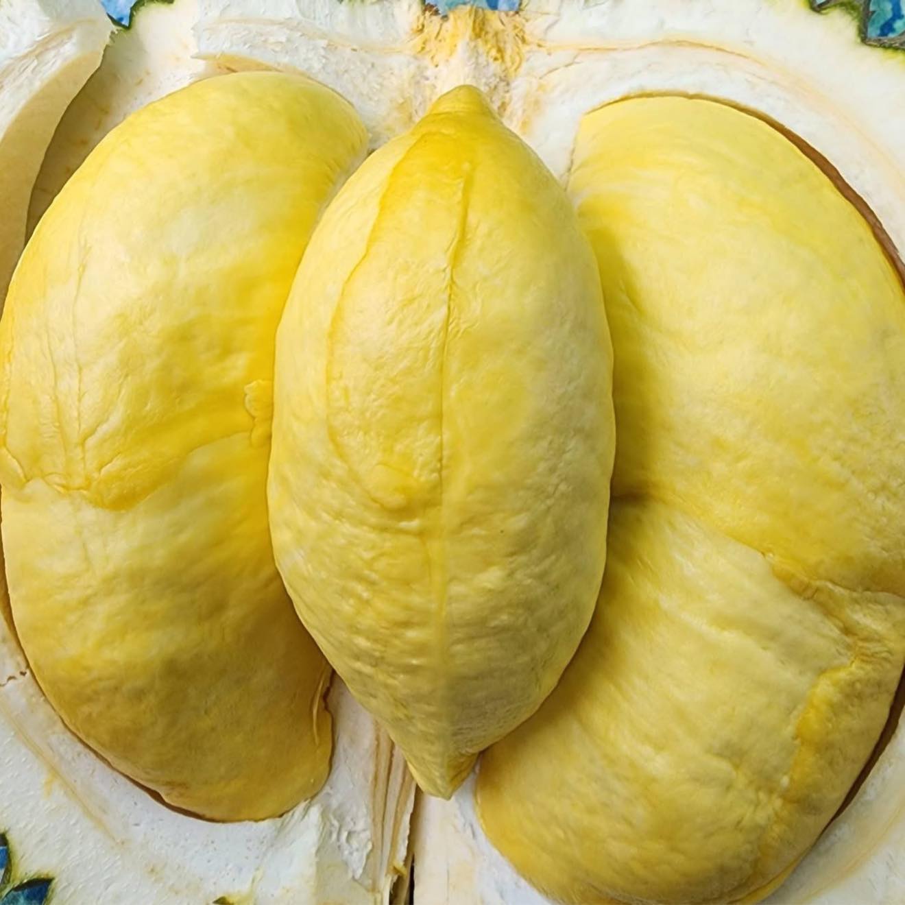 รีบเลยๆ โปรแค่ 3 วันนี้ ทุเรียน เหลือ 77