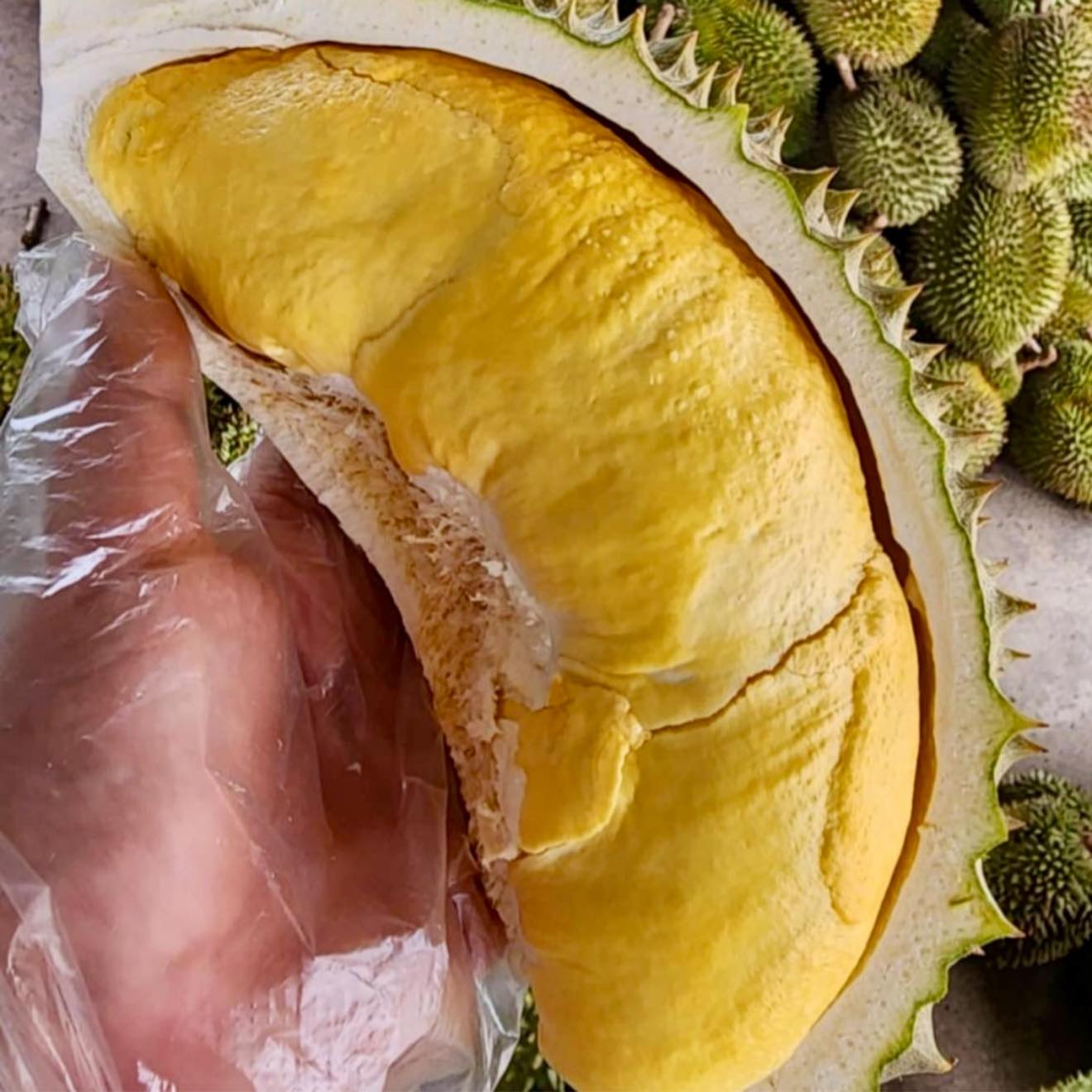 หิวเรียนๆ ทุเรียน 89 มาแล้วๆ