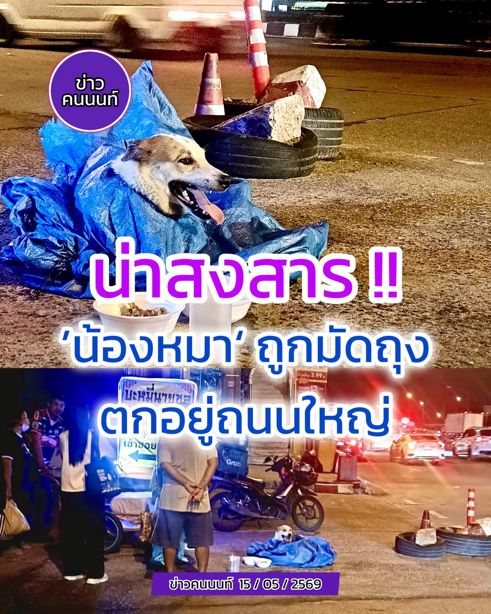 น่าสงสาร ”น้องหมา“ ถูกมัดถุง ตกหล่นถนนใหญ่
