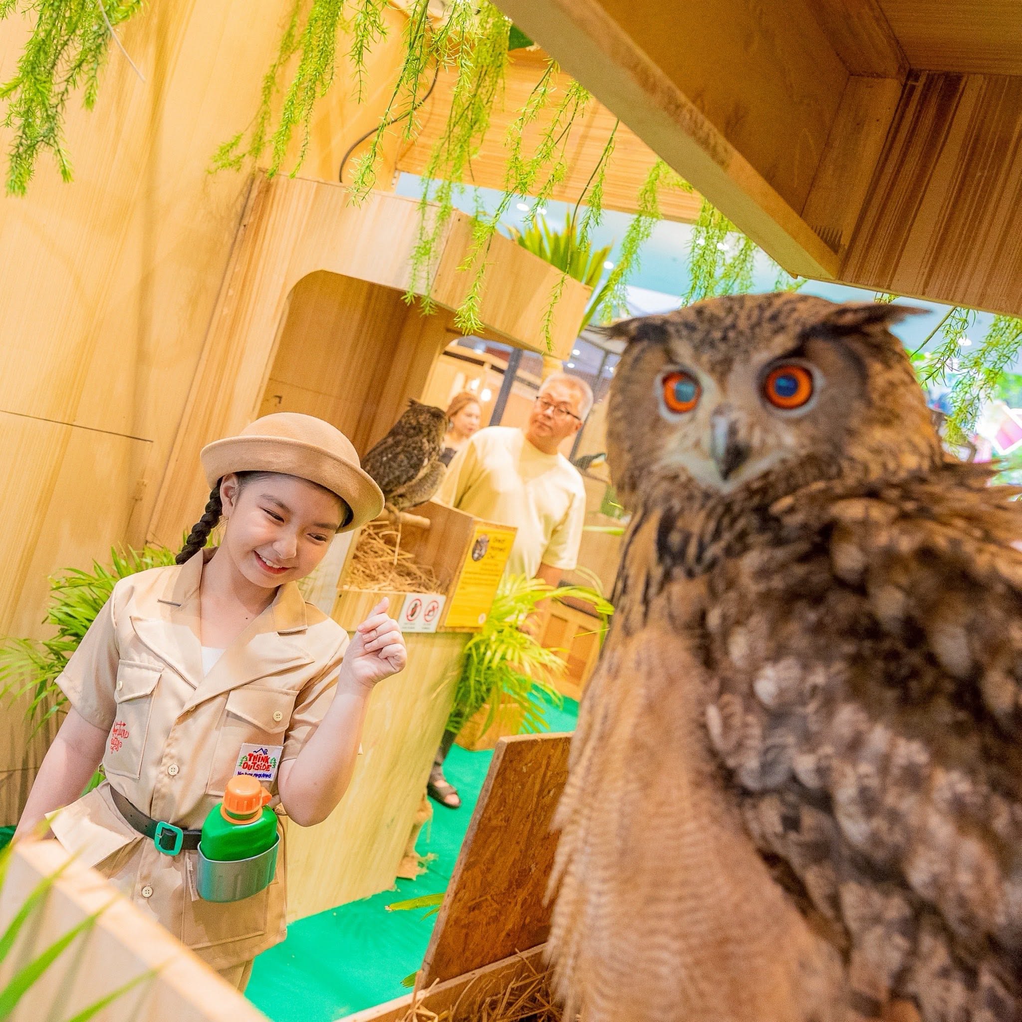 ชมฟรี Westville Bird Paradise สวรรค์ของคนรักนก