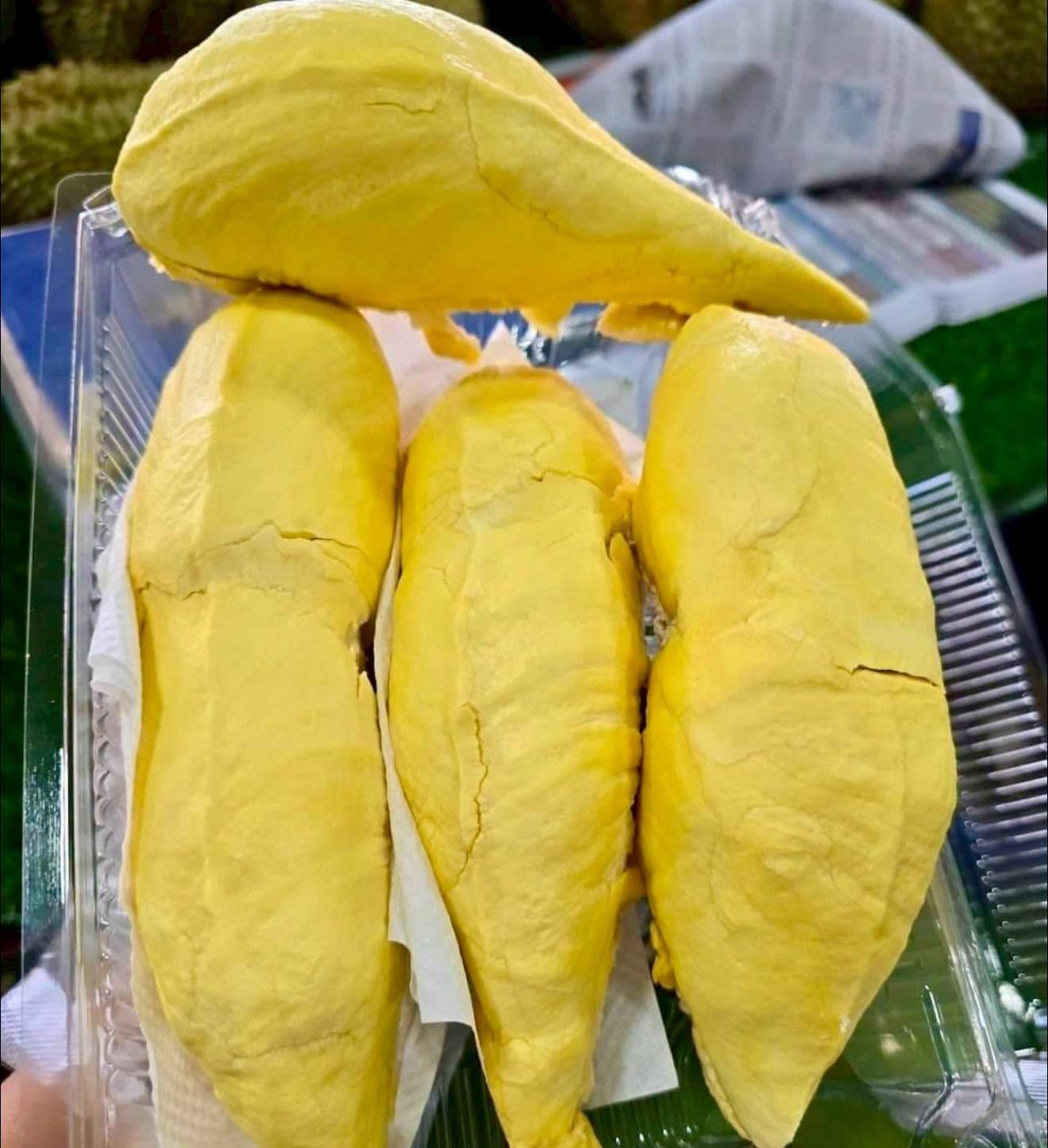 มาจ้าๆ ทุเรียน มีโปรเพียบบบ ทุเรียนหมอนทองภูเขาไฟ ศรีสะเกษ โลละ 99.-