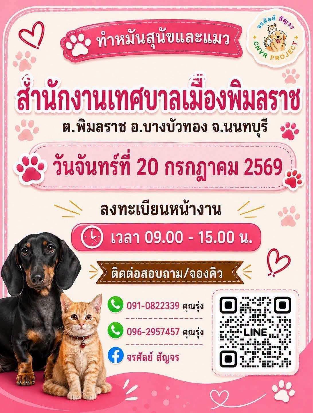 ทำหมันฟรี น้องหมา ส่วนน้องแมวมีค่าใช้จ่าย