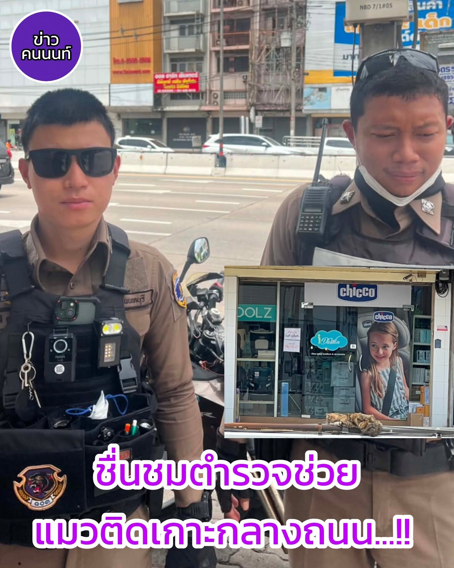 ชื่นชมตำรวจ ช่วยแมวติดเกาะกลางถนน