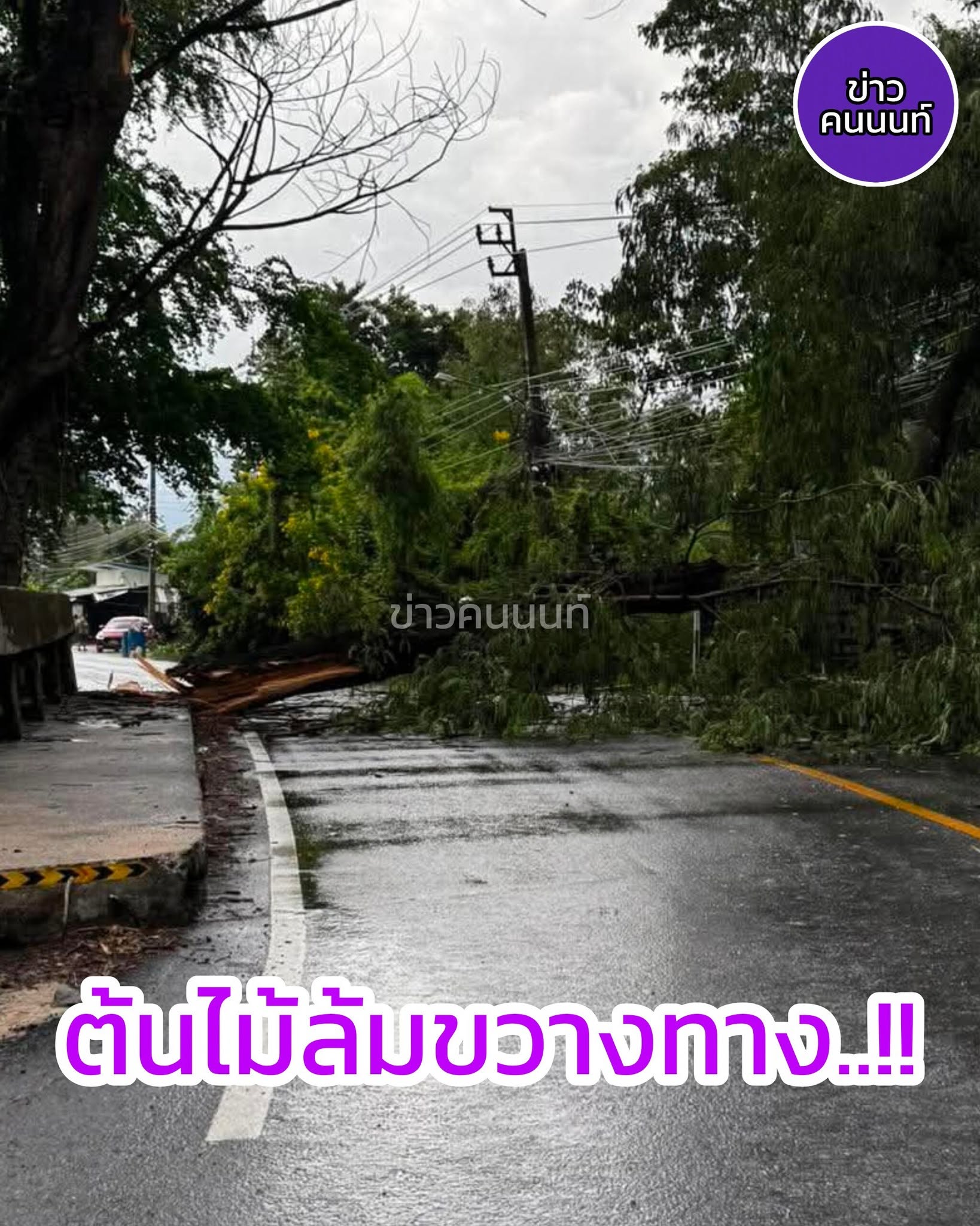 ต้นไม้ล้มขวางทาง จุดเกิดเหตุอยู่ภายในถนน ซอยวัดท่าเกวียน