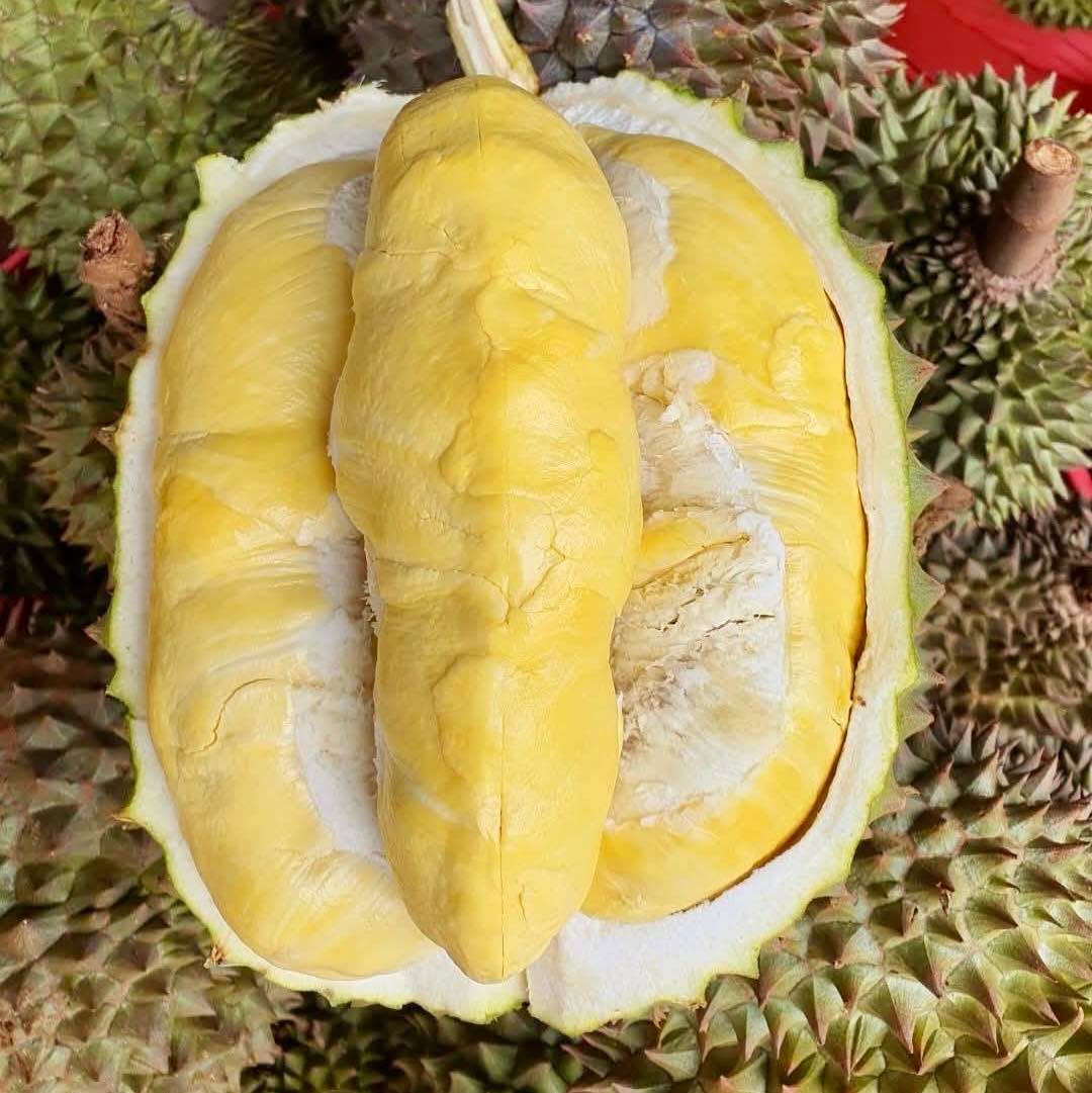 ทุเรียน ยังมีจ้า และมี ลองกอง ของมาลงใหม่เยอะเลยจ้า