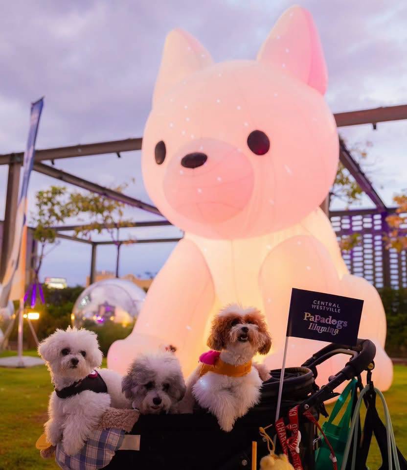 รีบมาจ้า  เข้าชมฟรี และ ถ่ายรูปสวยๆ มาเช็กอินโลกไฟสุดคูลของเหล่าน้องหมา  งาน “Papa Dogs Illumina” ที่ CentralWestville